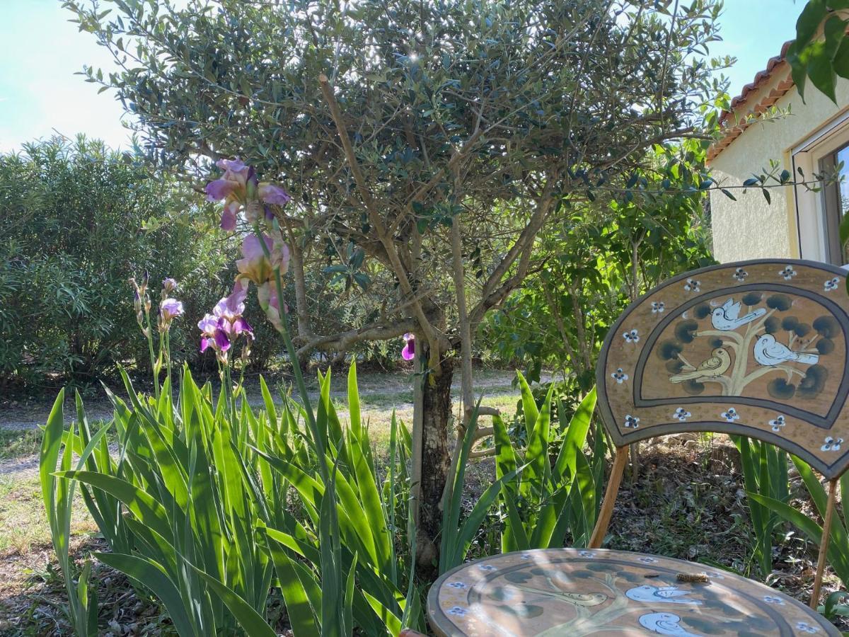 L'Eveil En Provence Panzió Entrecasteaux Kültér fotó