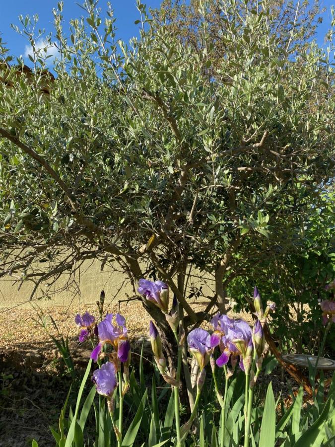 L'Eveil En Provence Panzió Entrecasteaux Kültér fotó